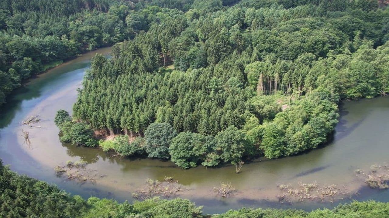 Germany's Wild Amazon background