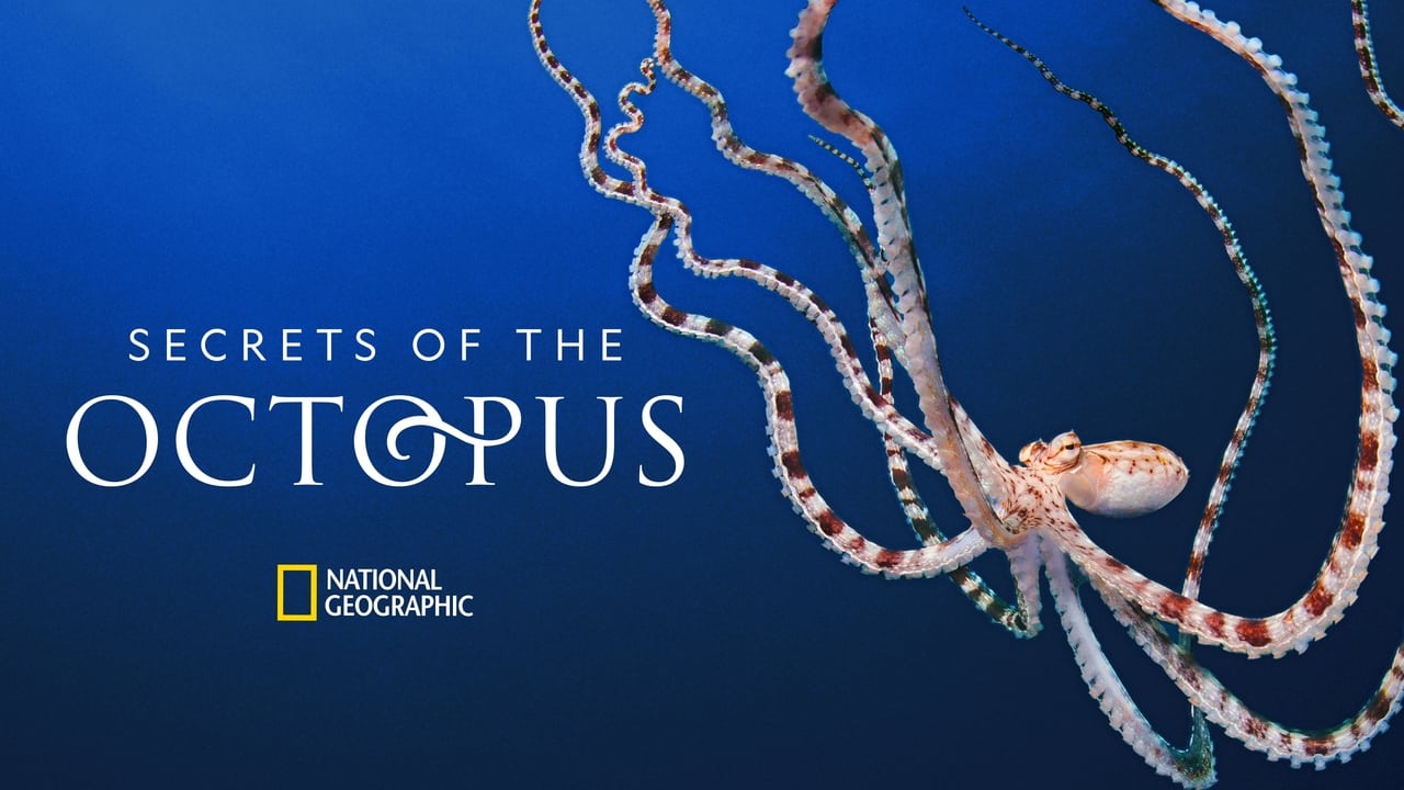 Secrets of the Octopus - Miniseries