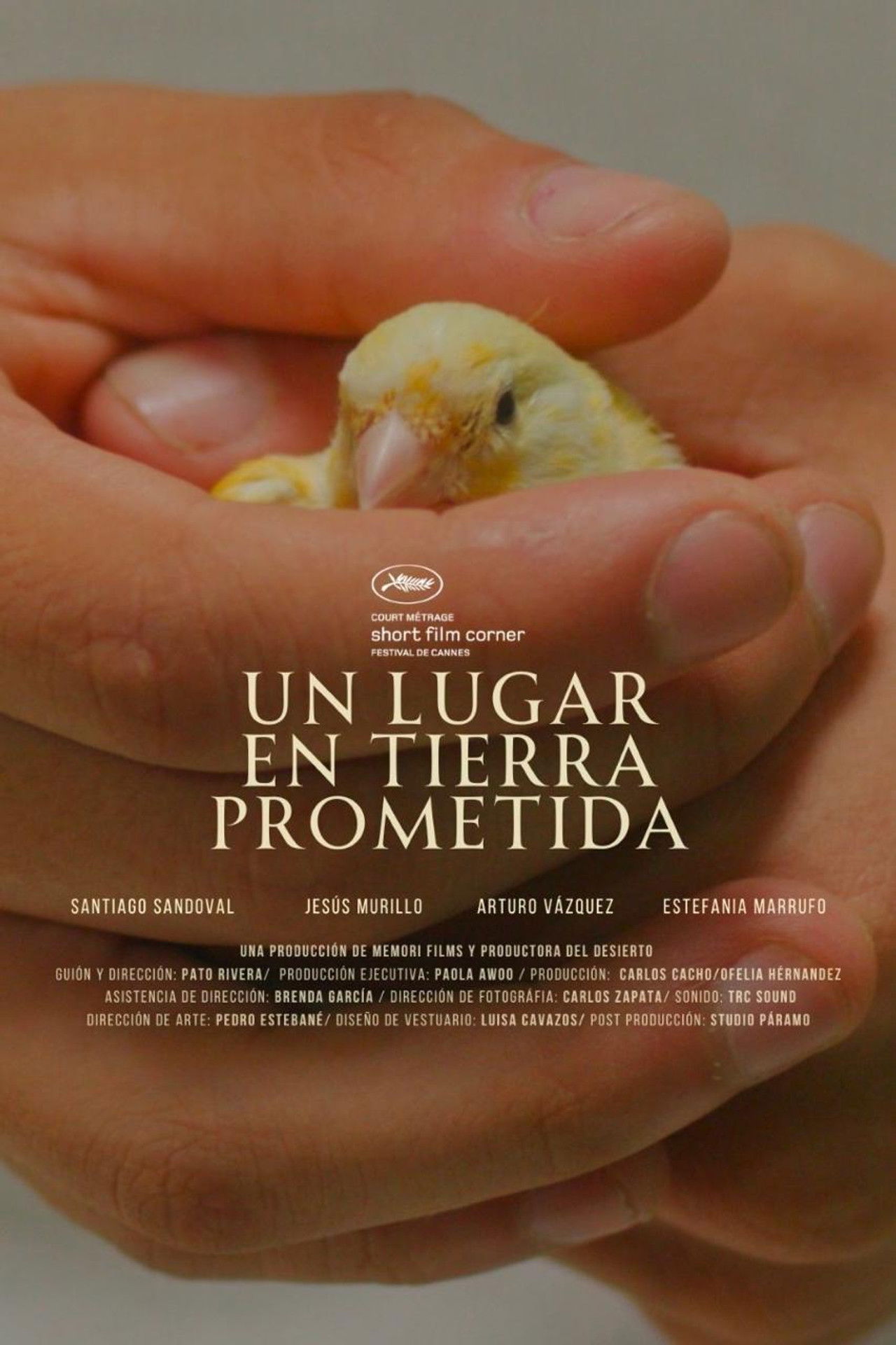 Un lugar en tierra prometida Backdrop