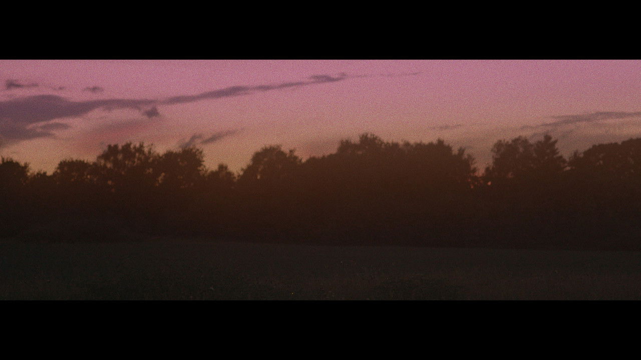 Cheap Oklahoma Stare backdrop