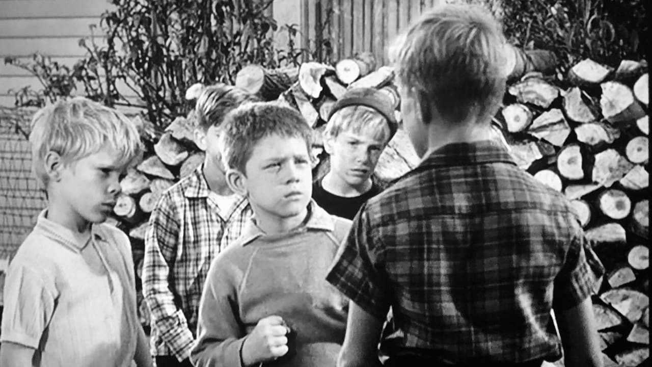 The Andy Griffith Show - Season 3 Episode 14 : One-Punch Opie