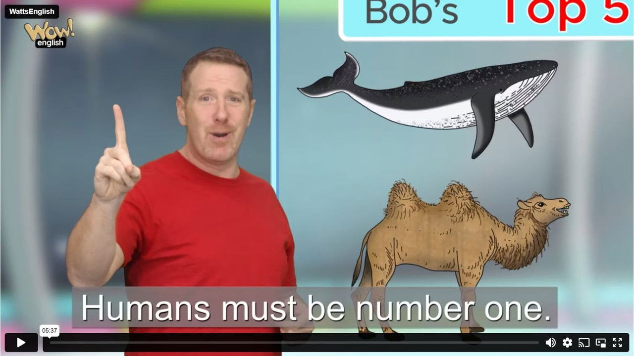 Wow English — Épisode 19