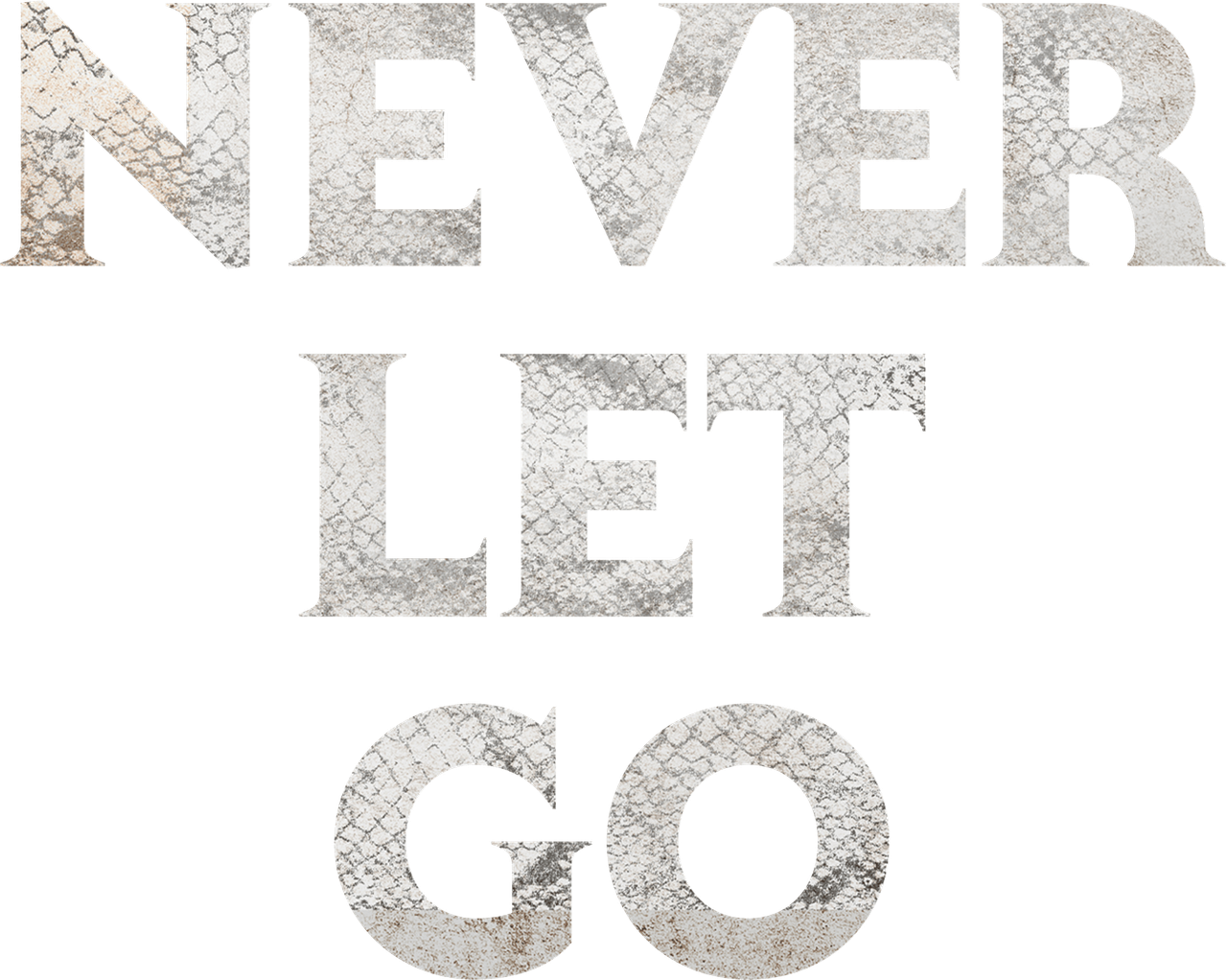 Never Let Go