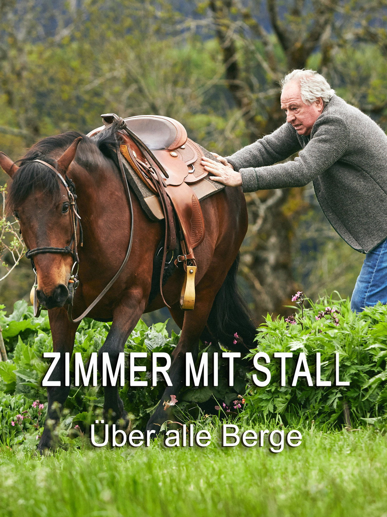 Zimmer mit Stall - Über alle Berge filmaffisch