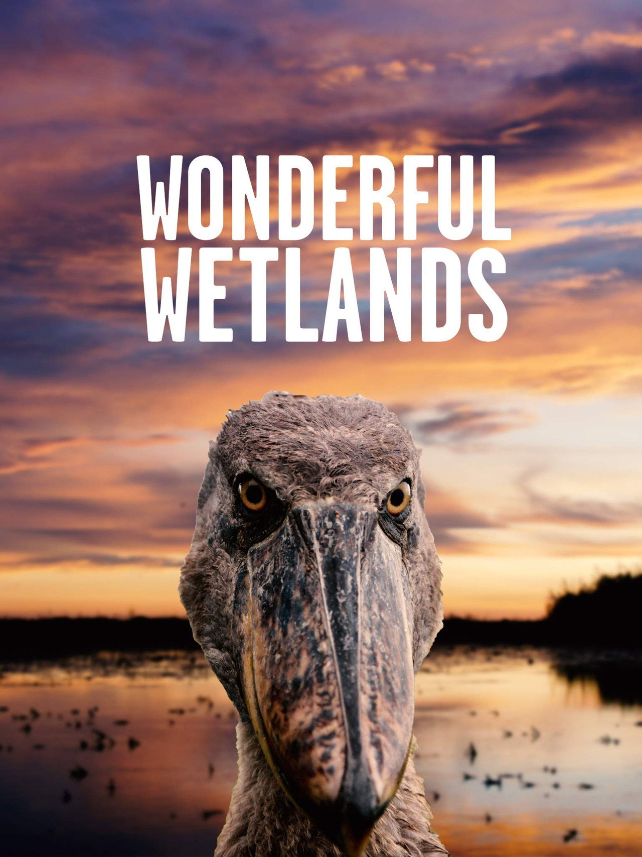 Wonderful Wetlands Backdrop