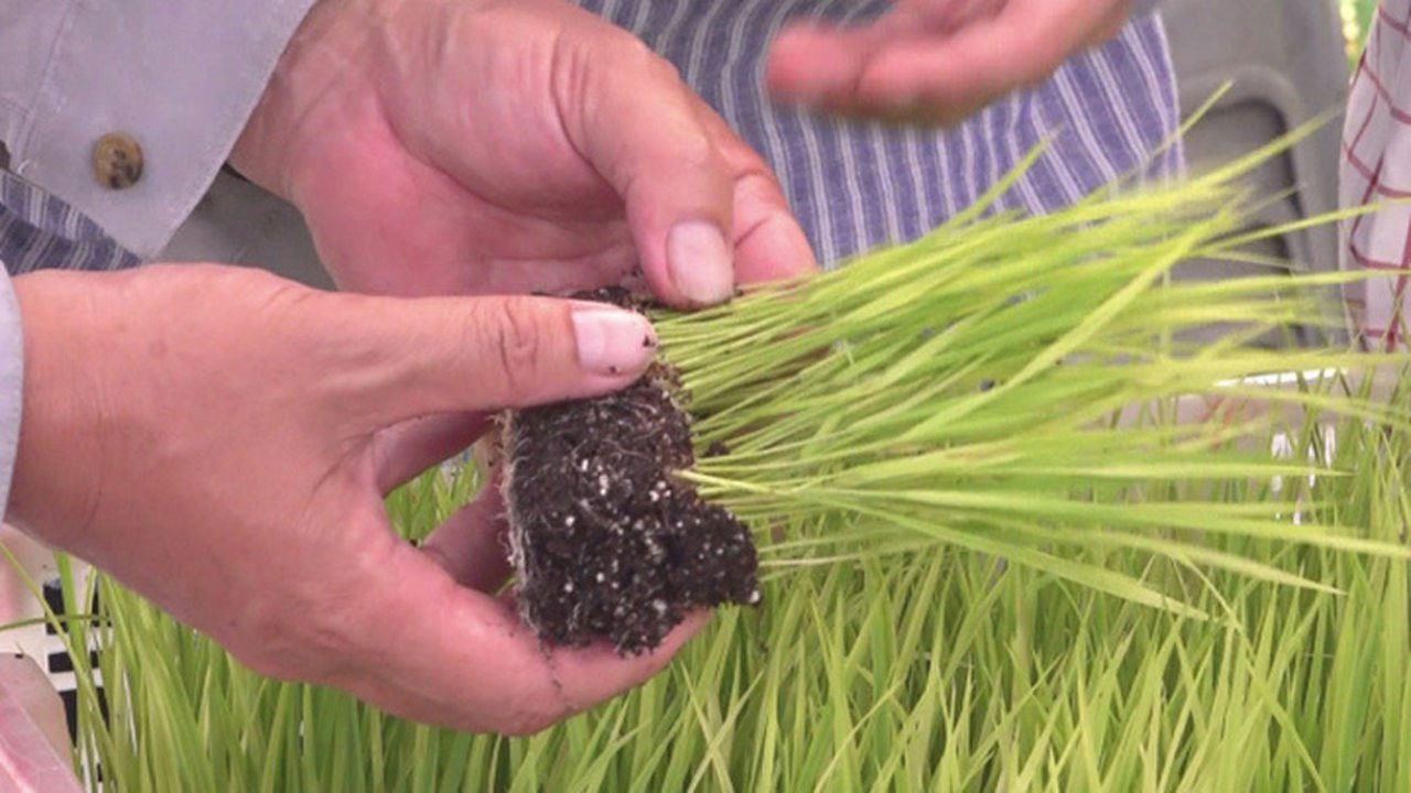 香港原味道 — Épisode 36