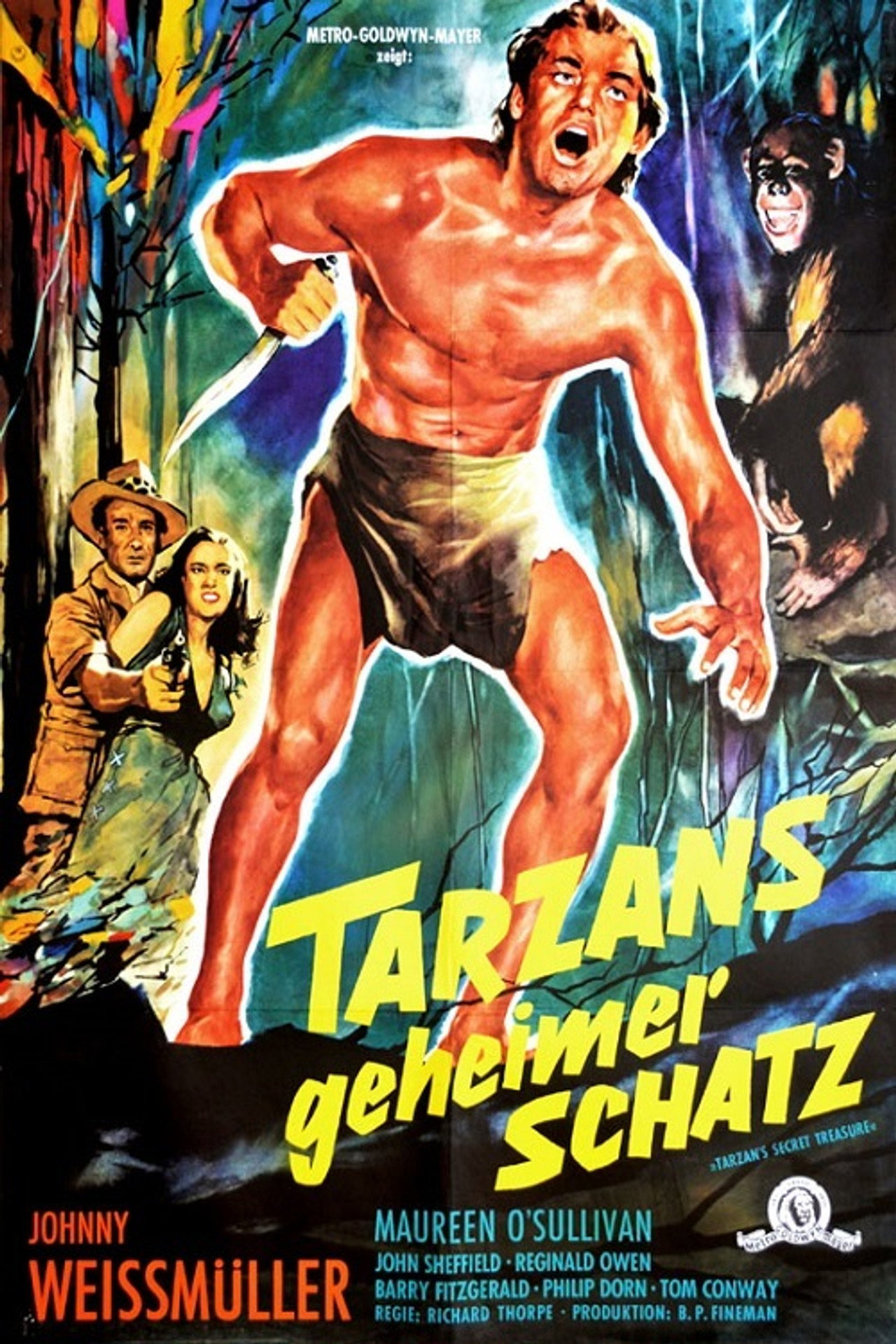 Tarzans geheimer Schatz