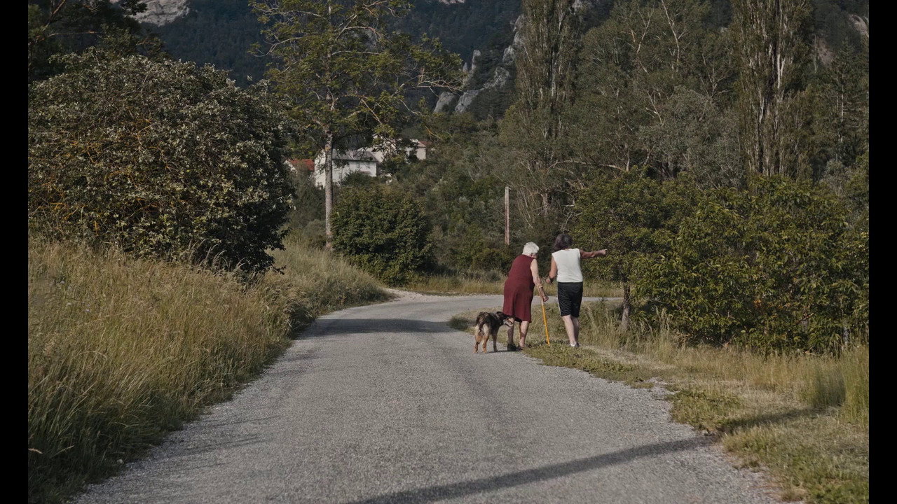 Fiori bianchi still 3