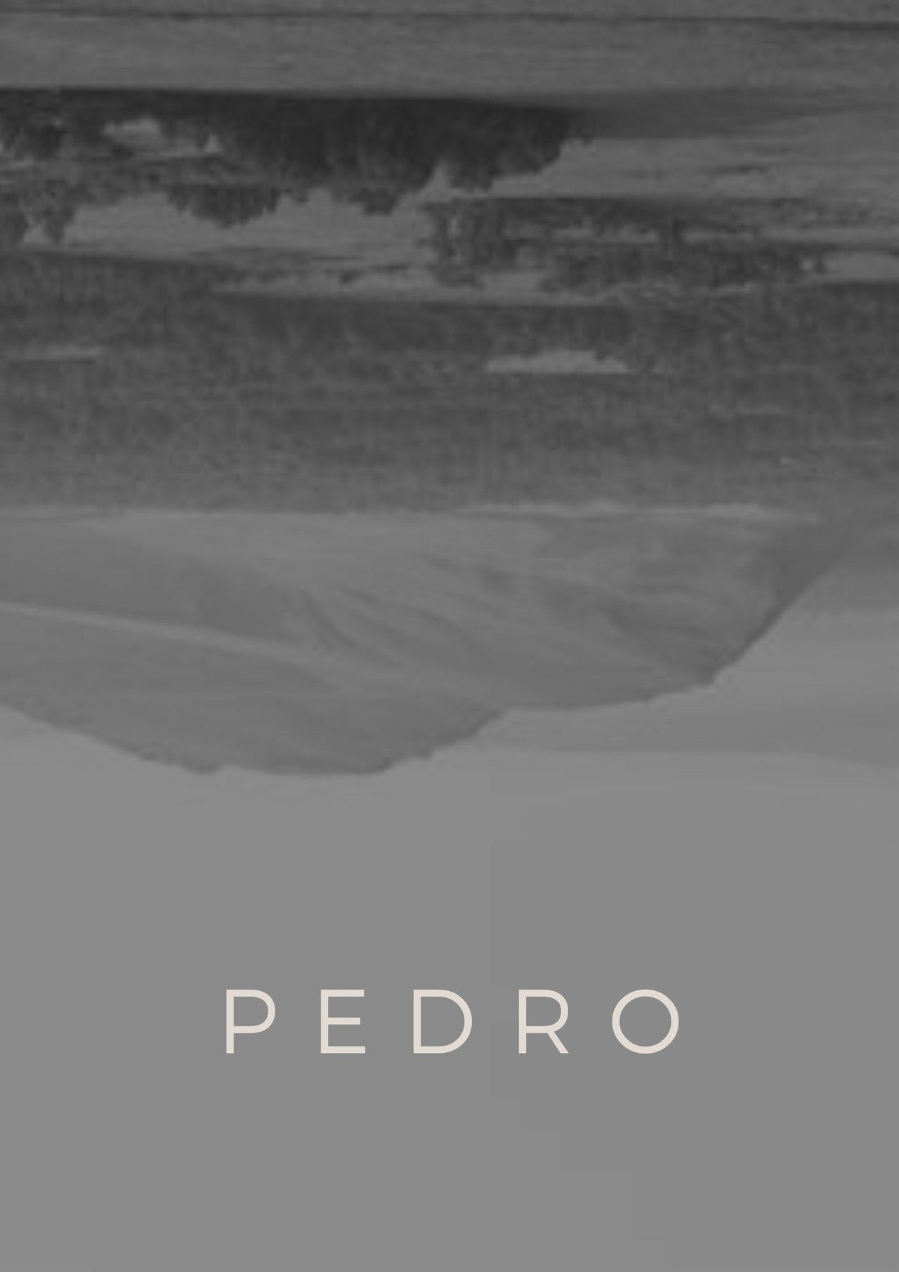 Pedro Backdrop
