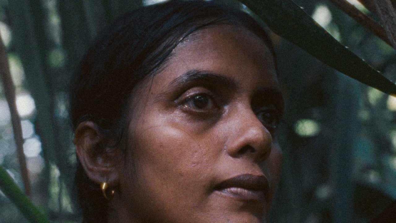 title image