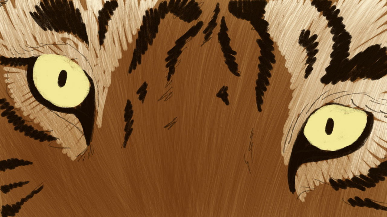 Dhembja e Kanalit backdrop