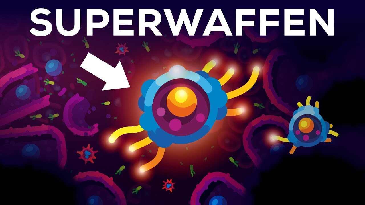 Kurzgesagt - In a Nutshell — Épisode 14