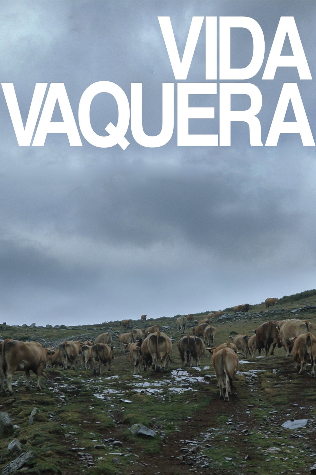 Vida vaquera filmaffisch