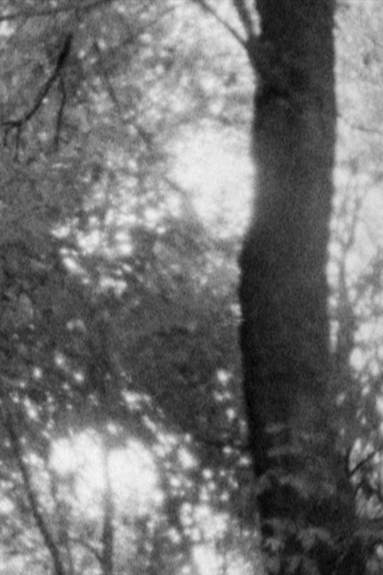 Untitled 1 filmaffisch