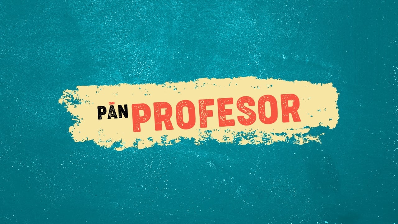 Pán profesor