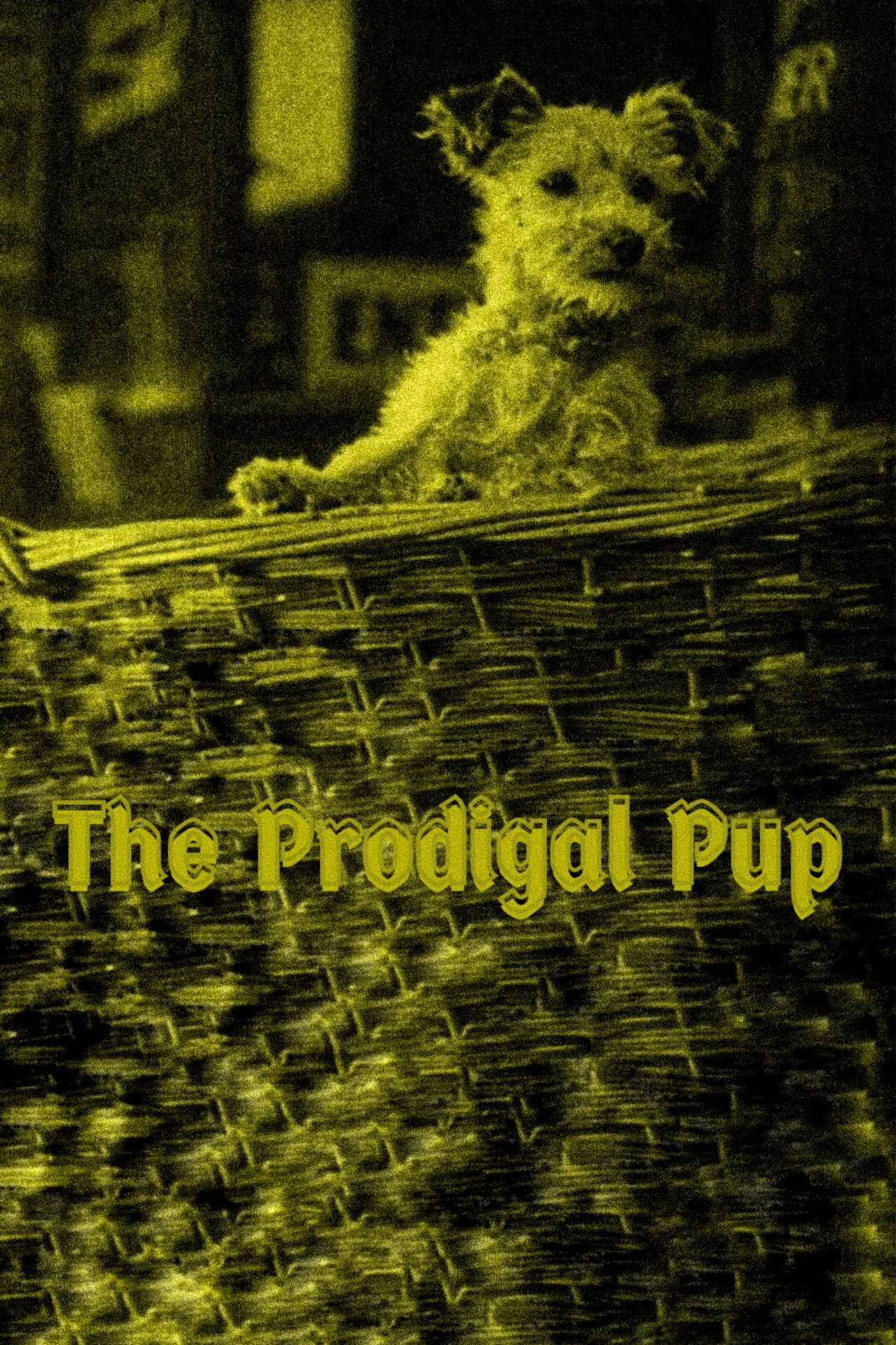 The Prodigal Pup filmaffisch