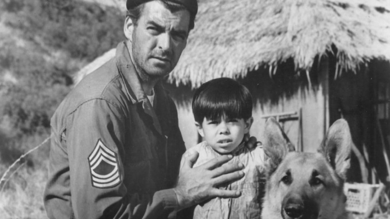 The Young and the Brave