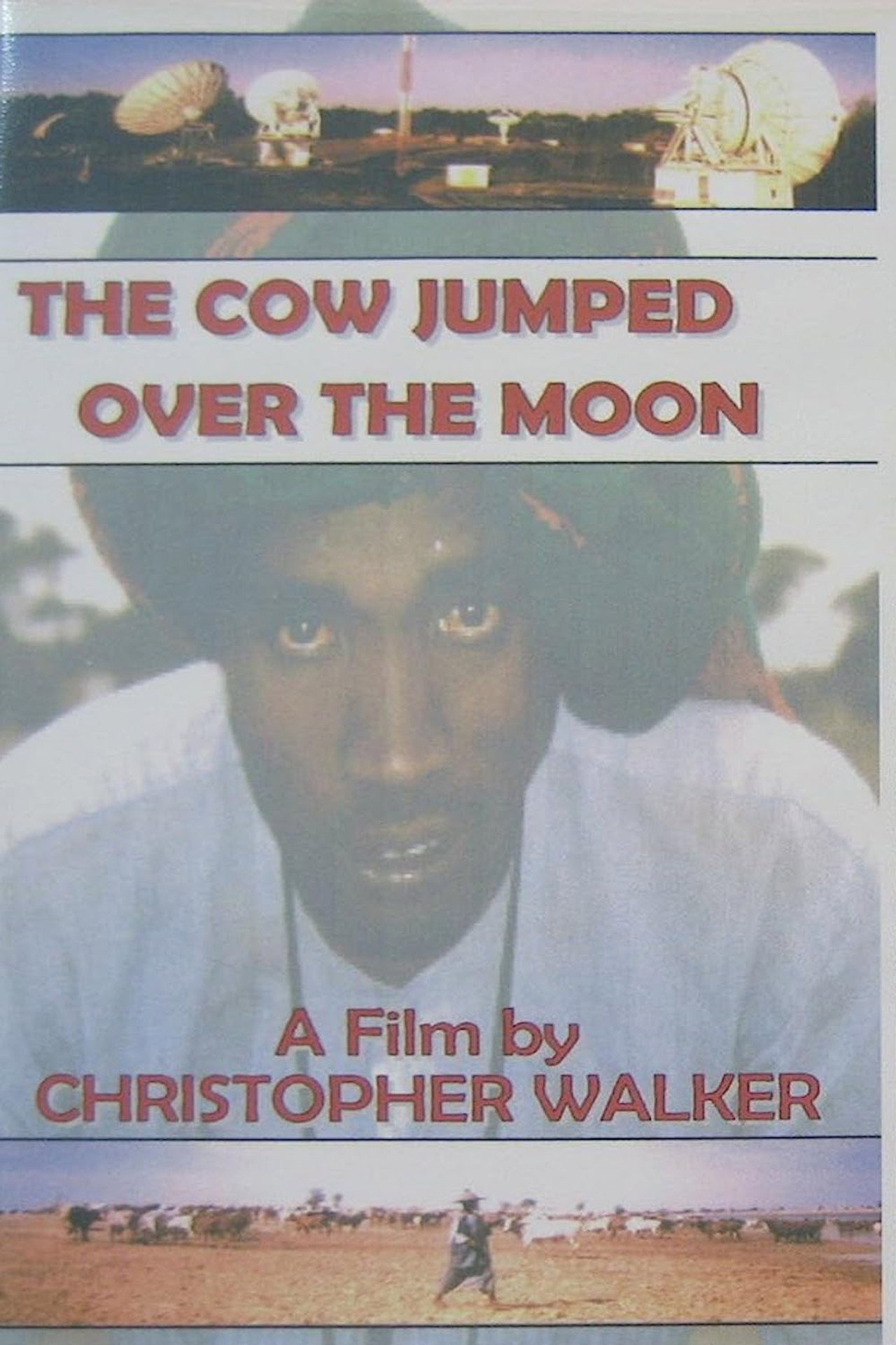 The Cow Jumped Over the Moon filmaffisch