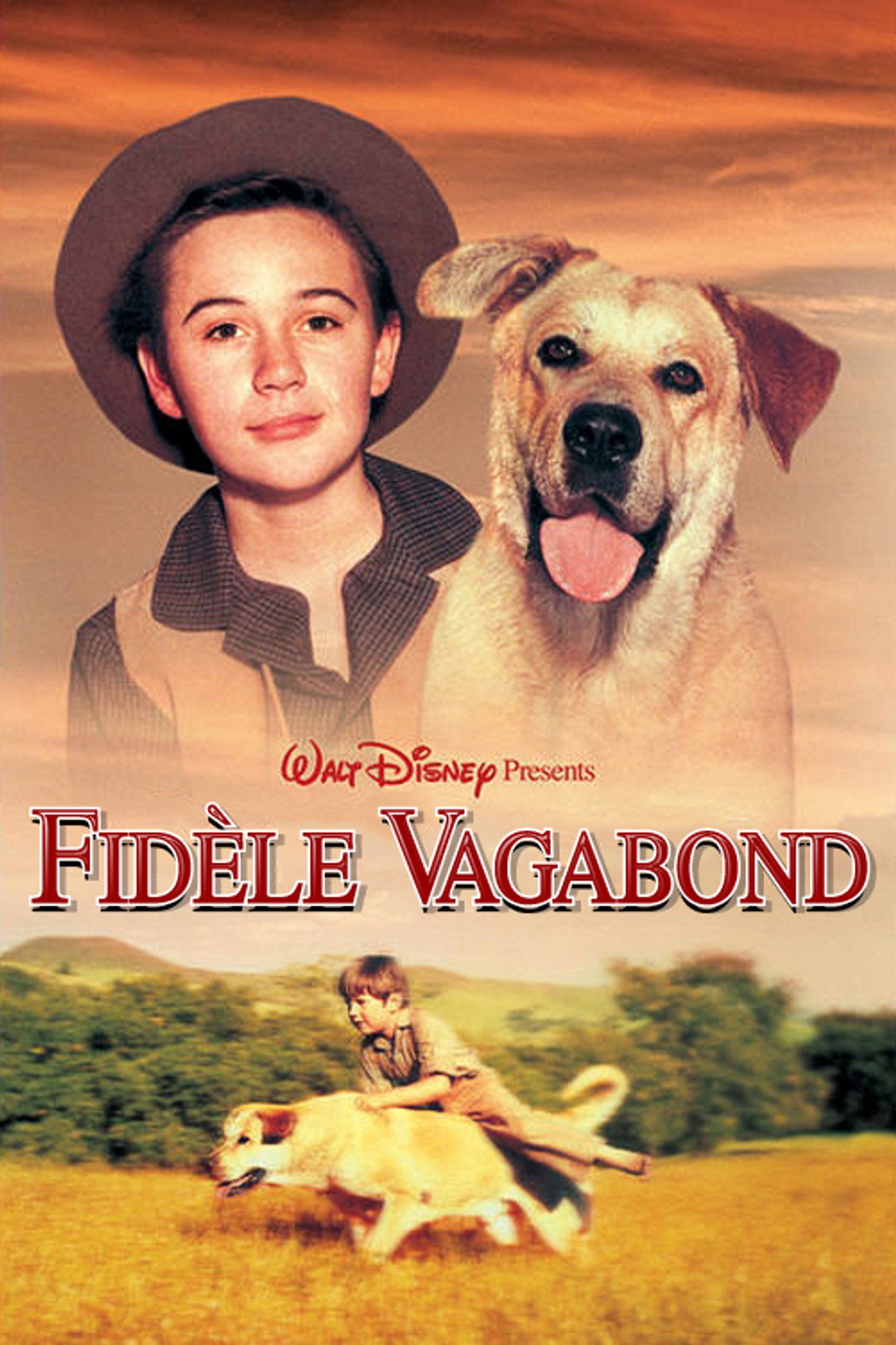 Fidèle vagabond poster
