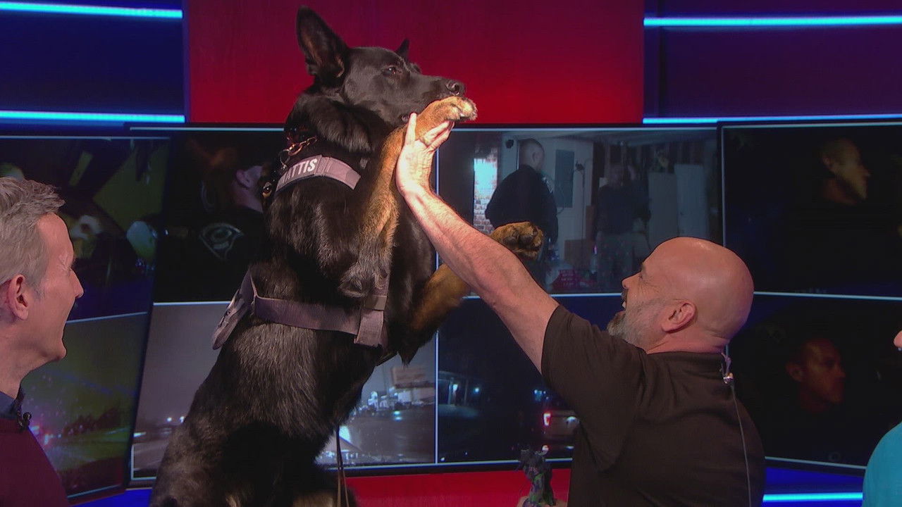 Live PD: Greatest Shifts — Épisode 16