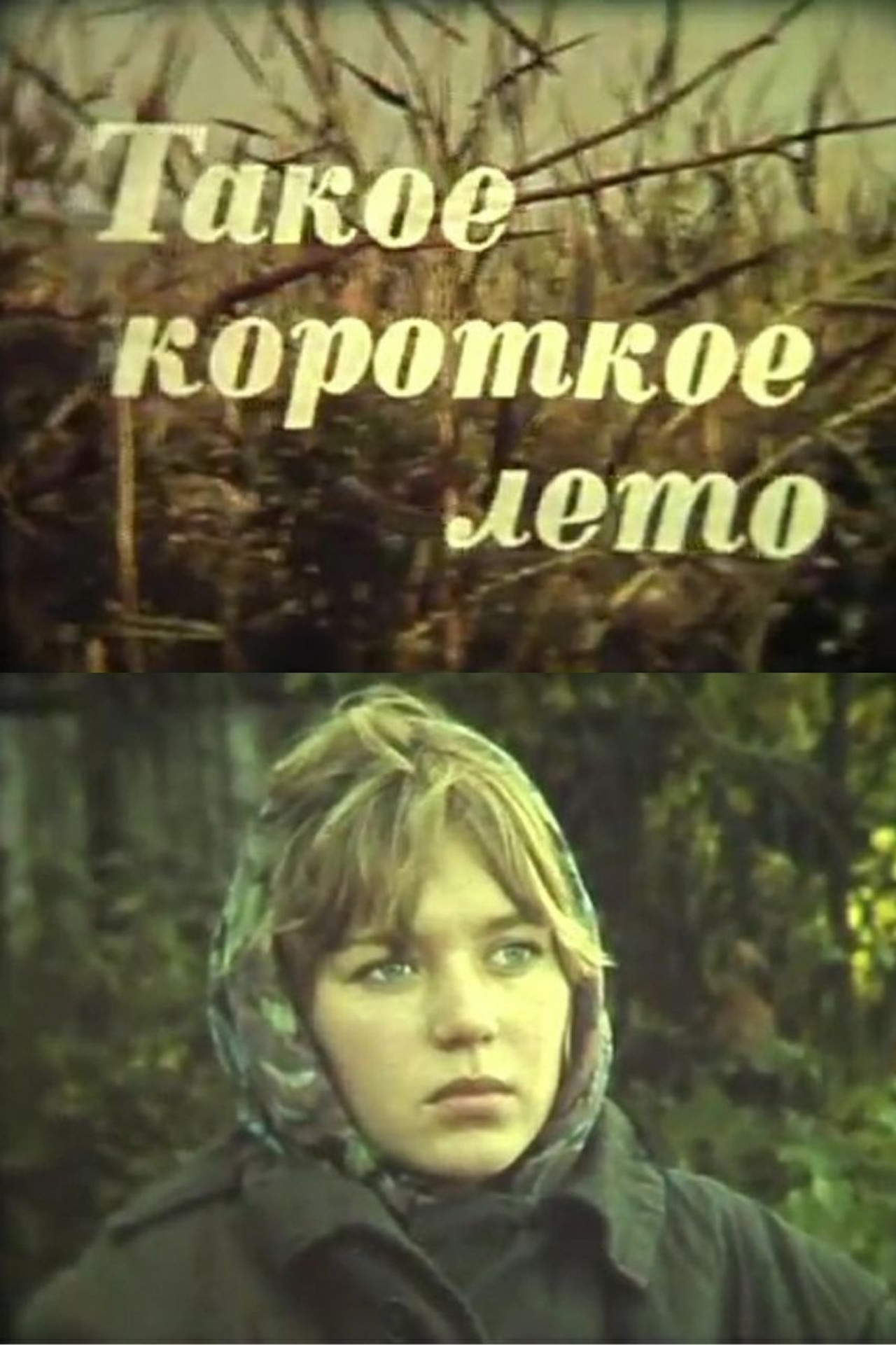 Такое короткое лето filmaffisch