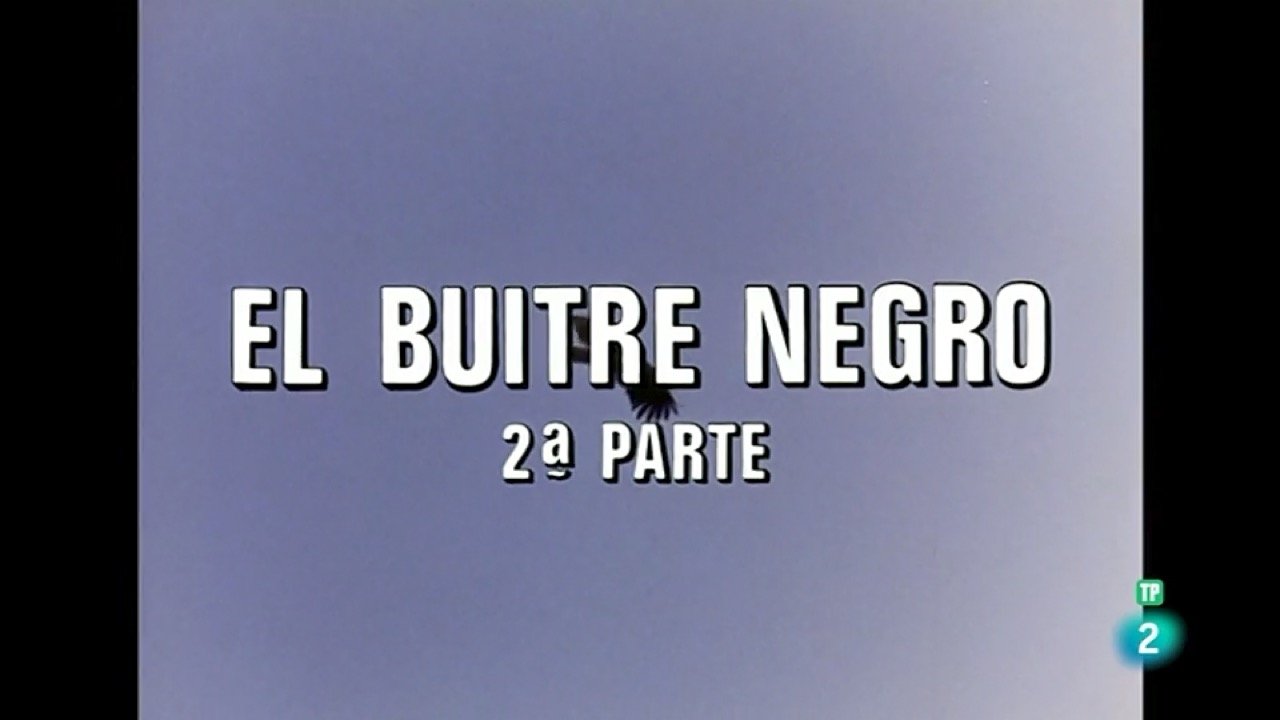 The black vulture II