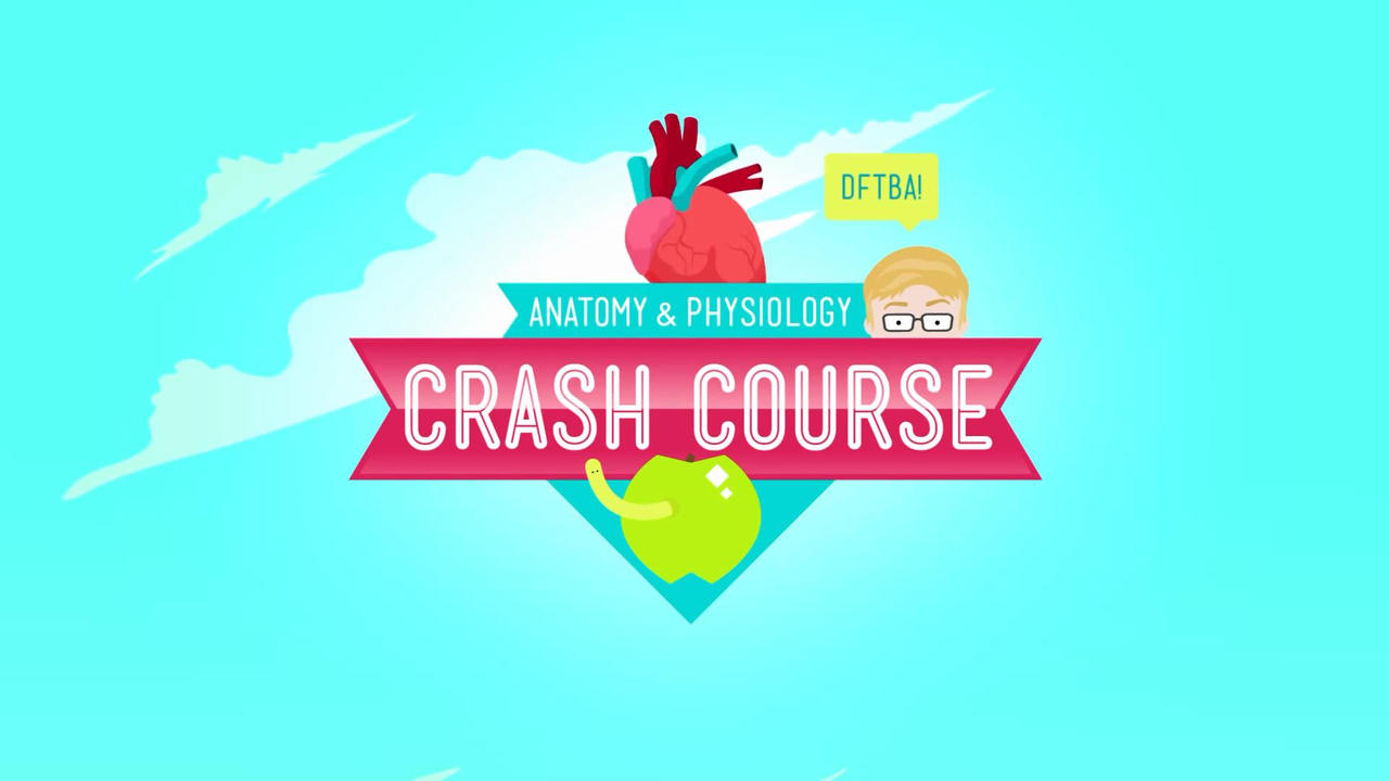 Crash Course Anatomy & Physiology background