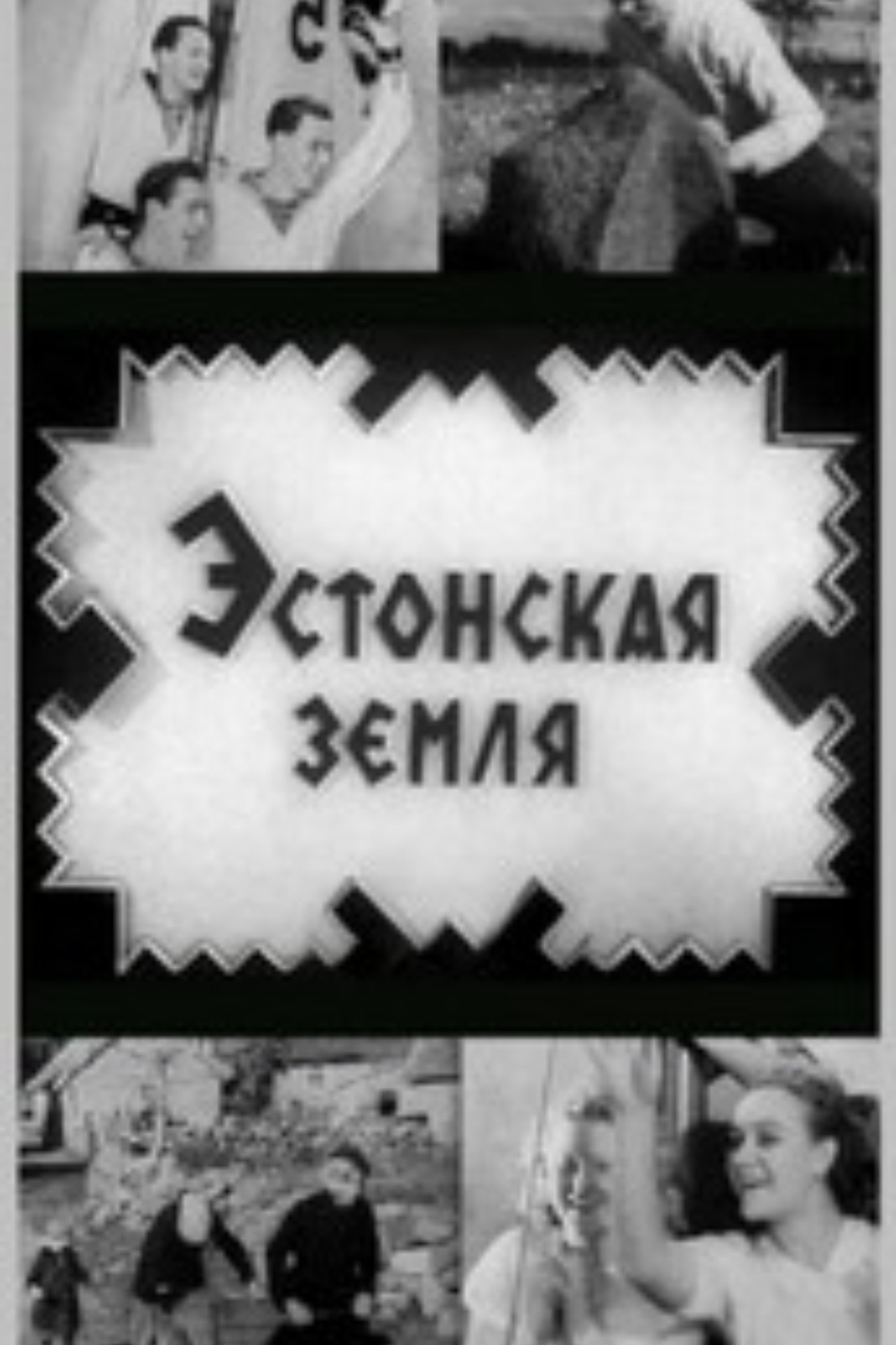 Эстонская земля filmaffisch