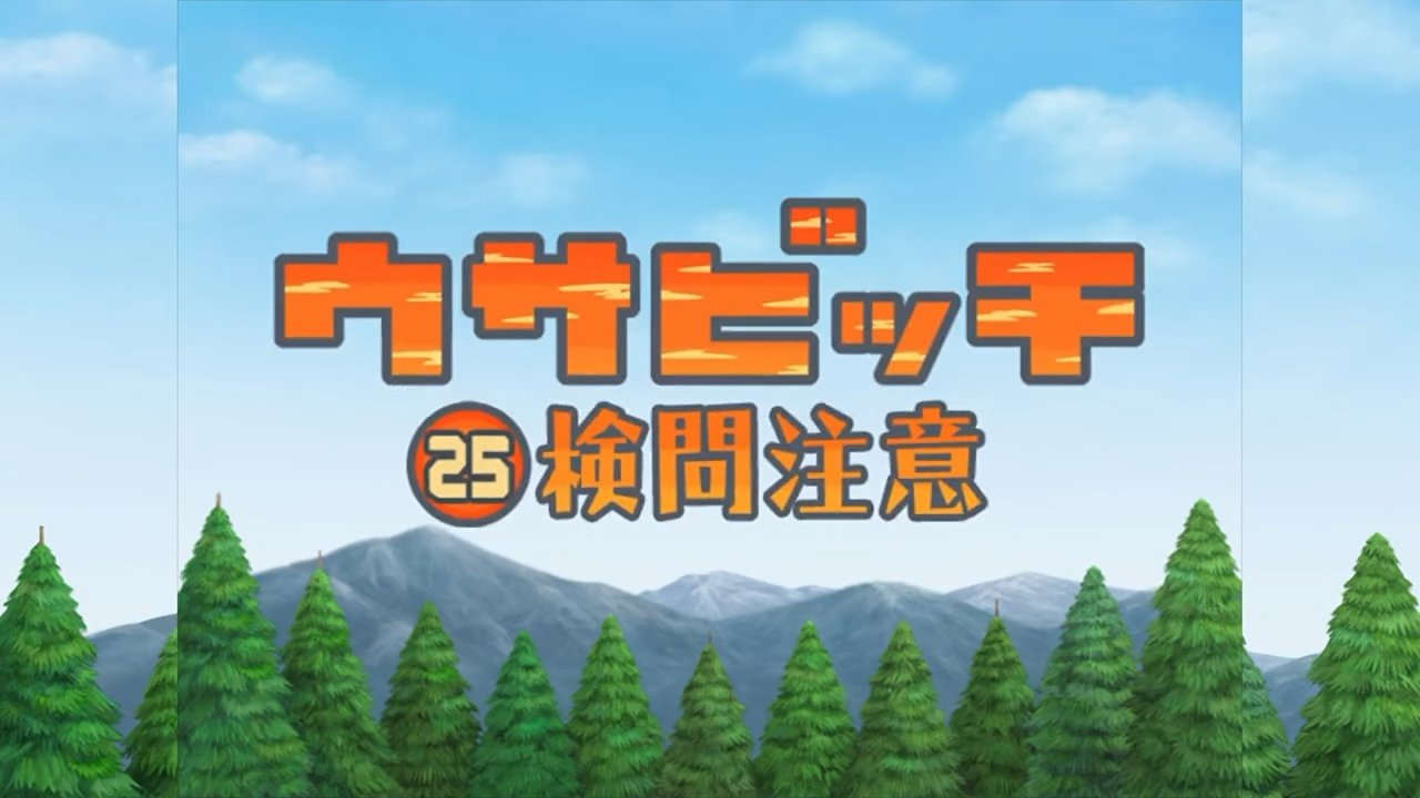 Watch for Inspection (検問注意)