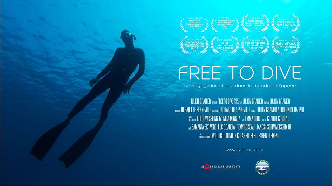 Free to dive