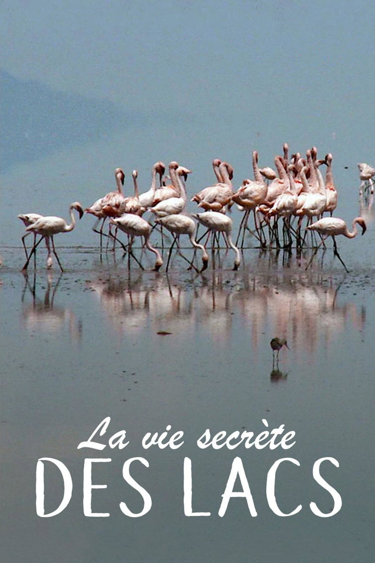 La Vie secrète des lacs affisch
