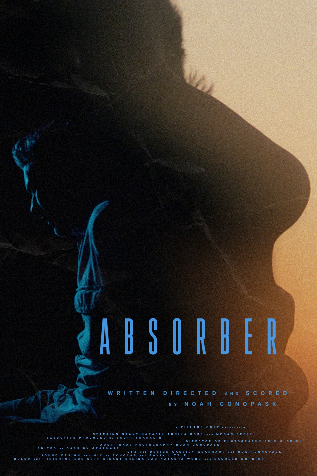 Absorber
