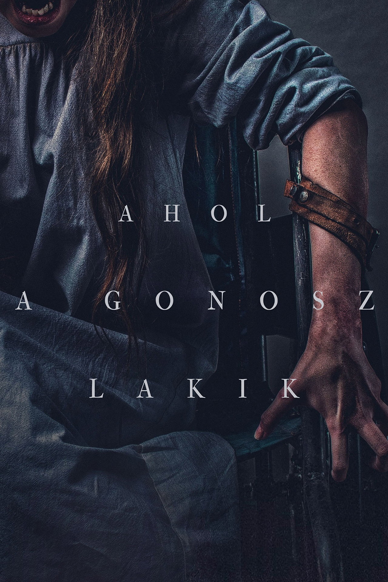 Ahol a gonosz lakik – plakát 2