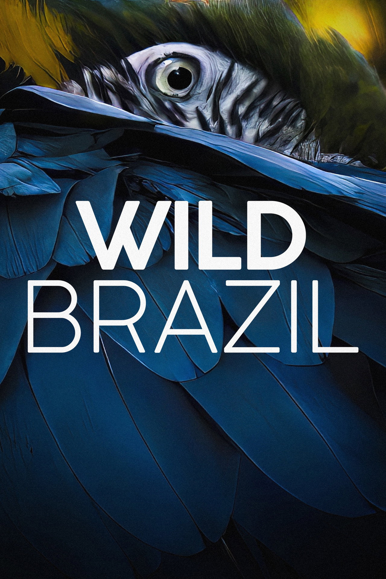 Wild Brazil