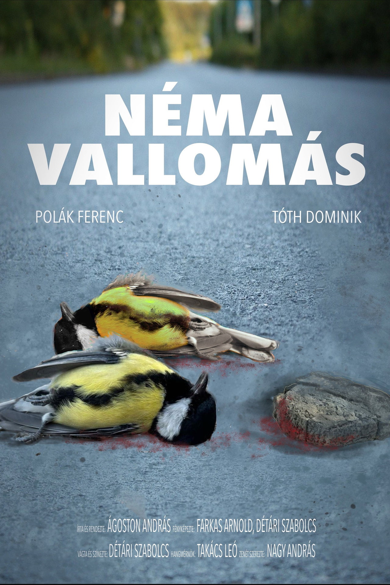 Néma Vallomás – plakát 3