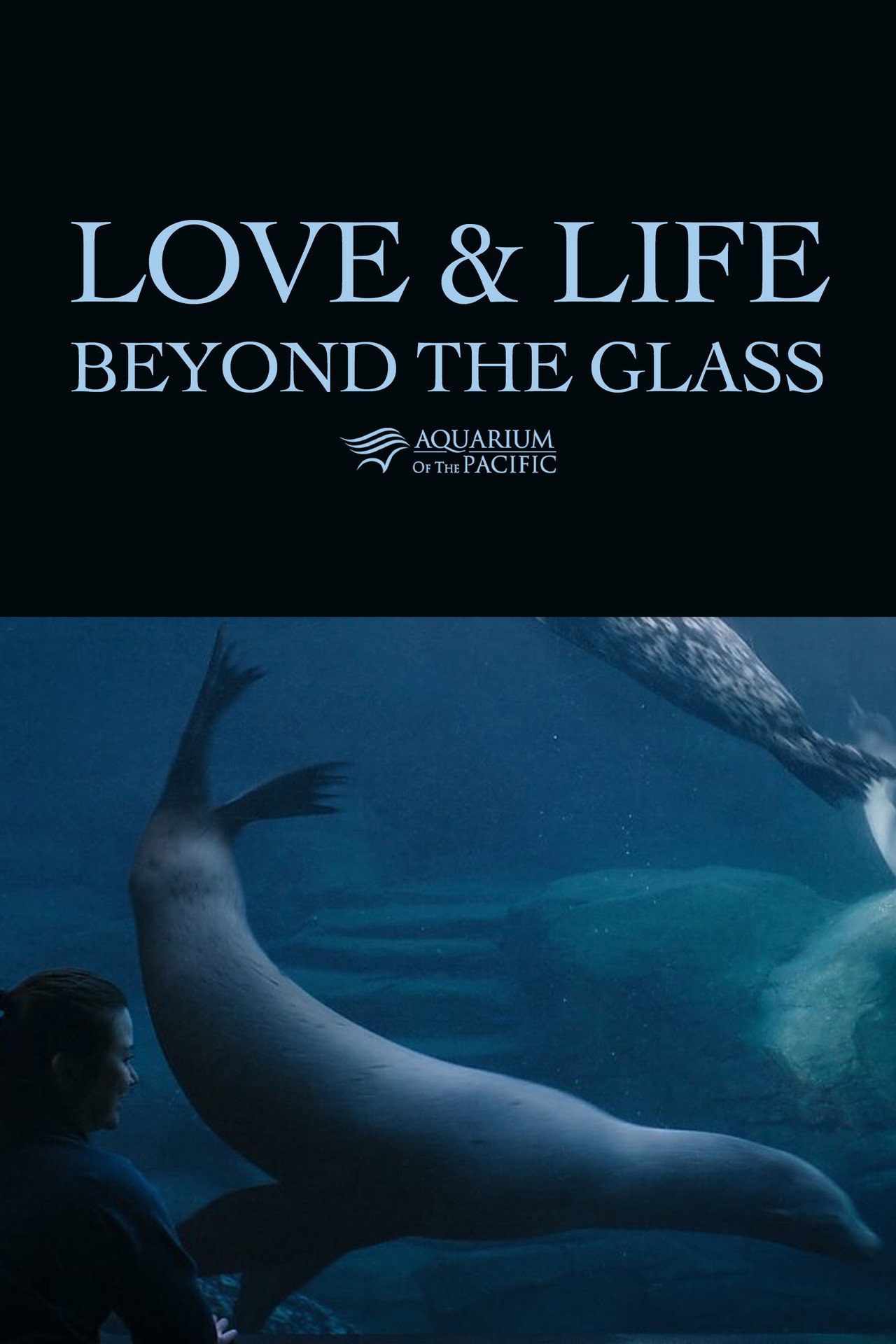 Love & Life Beyond the Glass filmaffisch