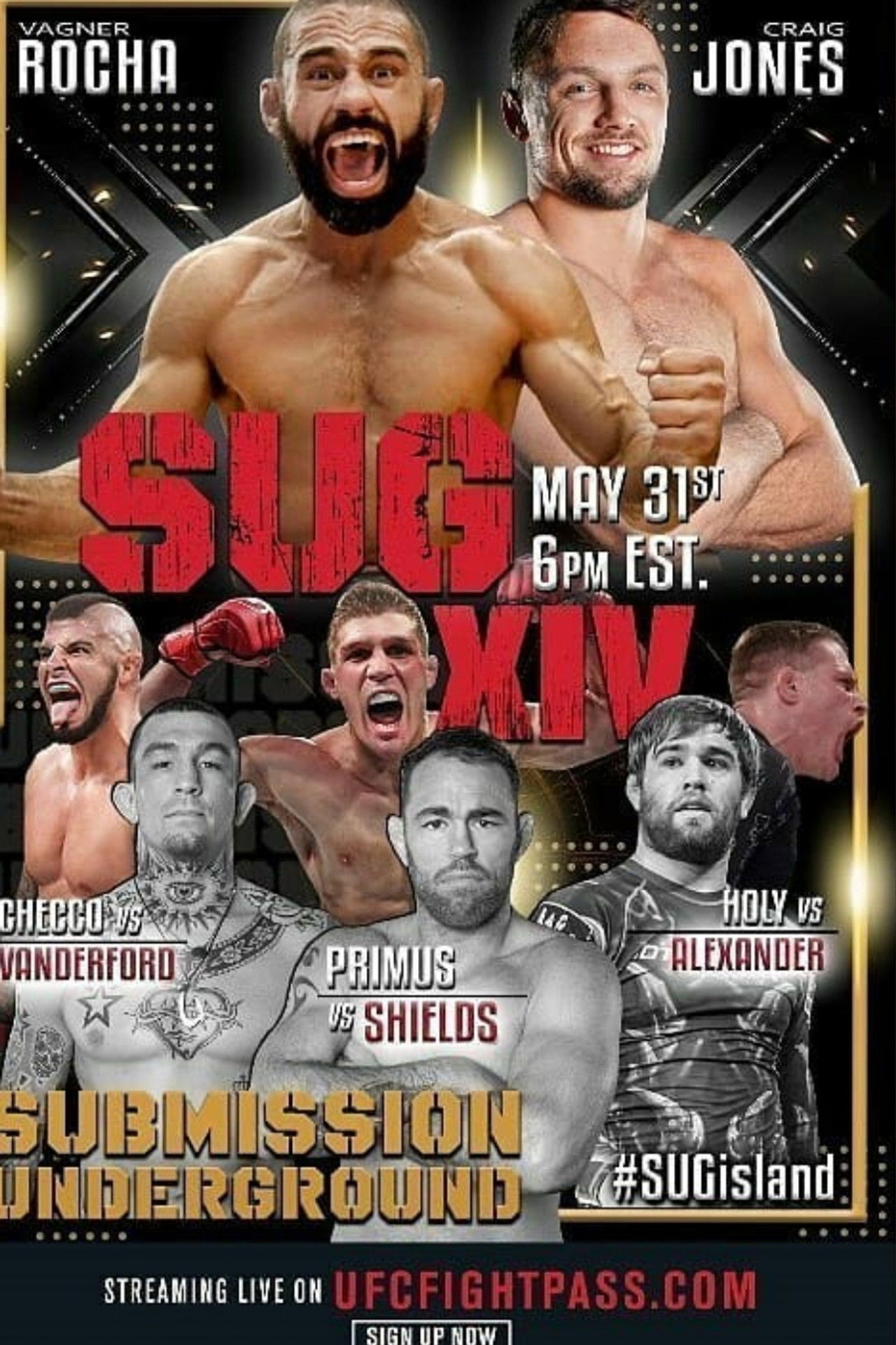 Submission Underground 14 Backdrop