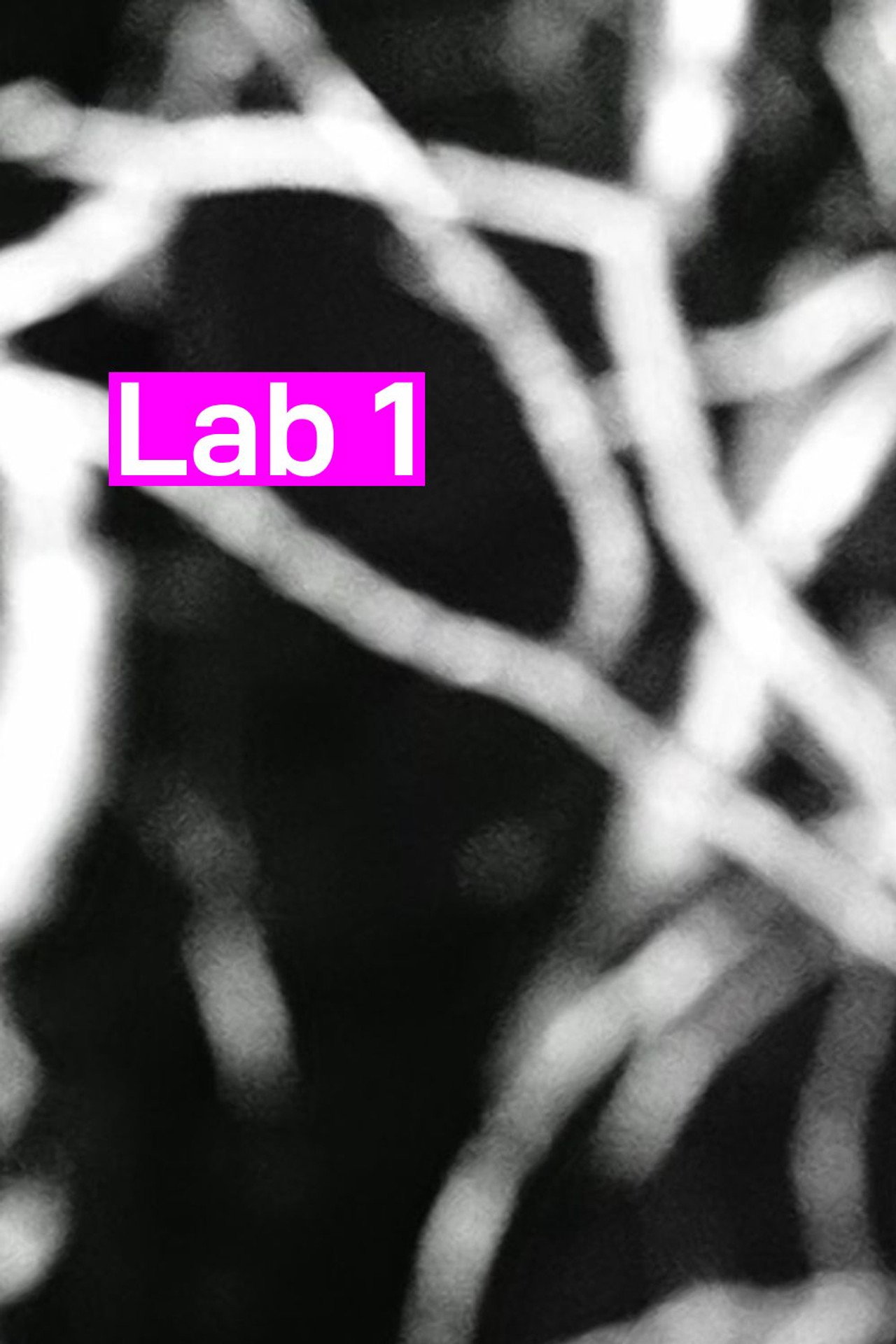 Lab 1 filmaffisch