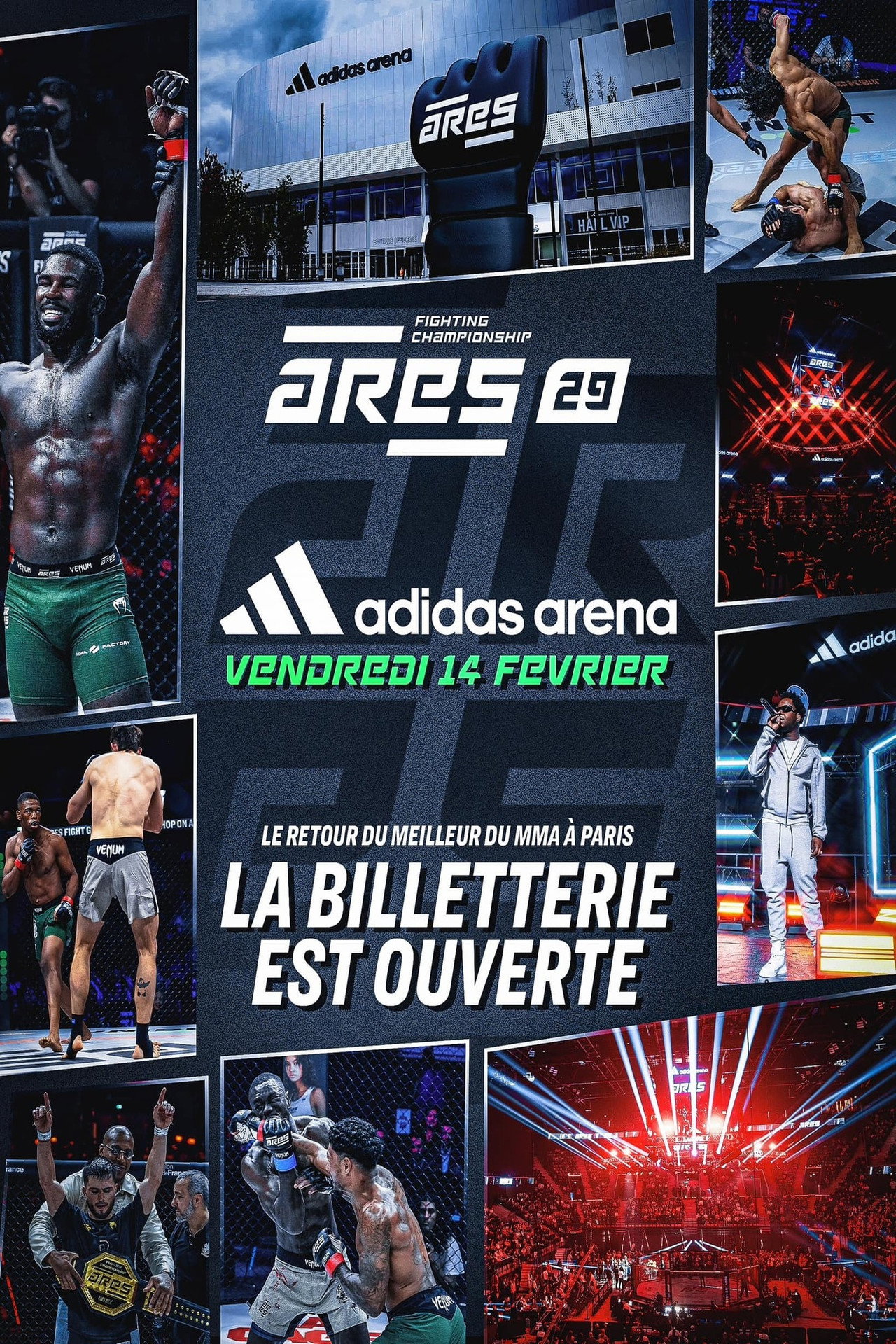 Ares FC 29: Younousov Vs. Alcino poster