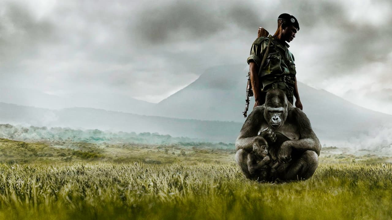 Virunga Backdrop Image