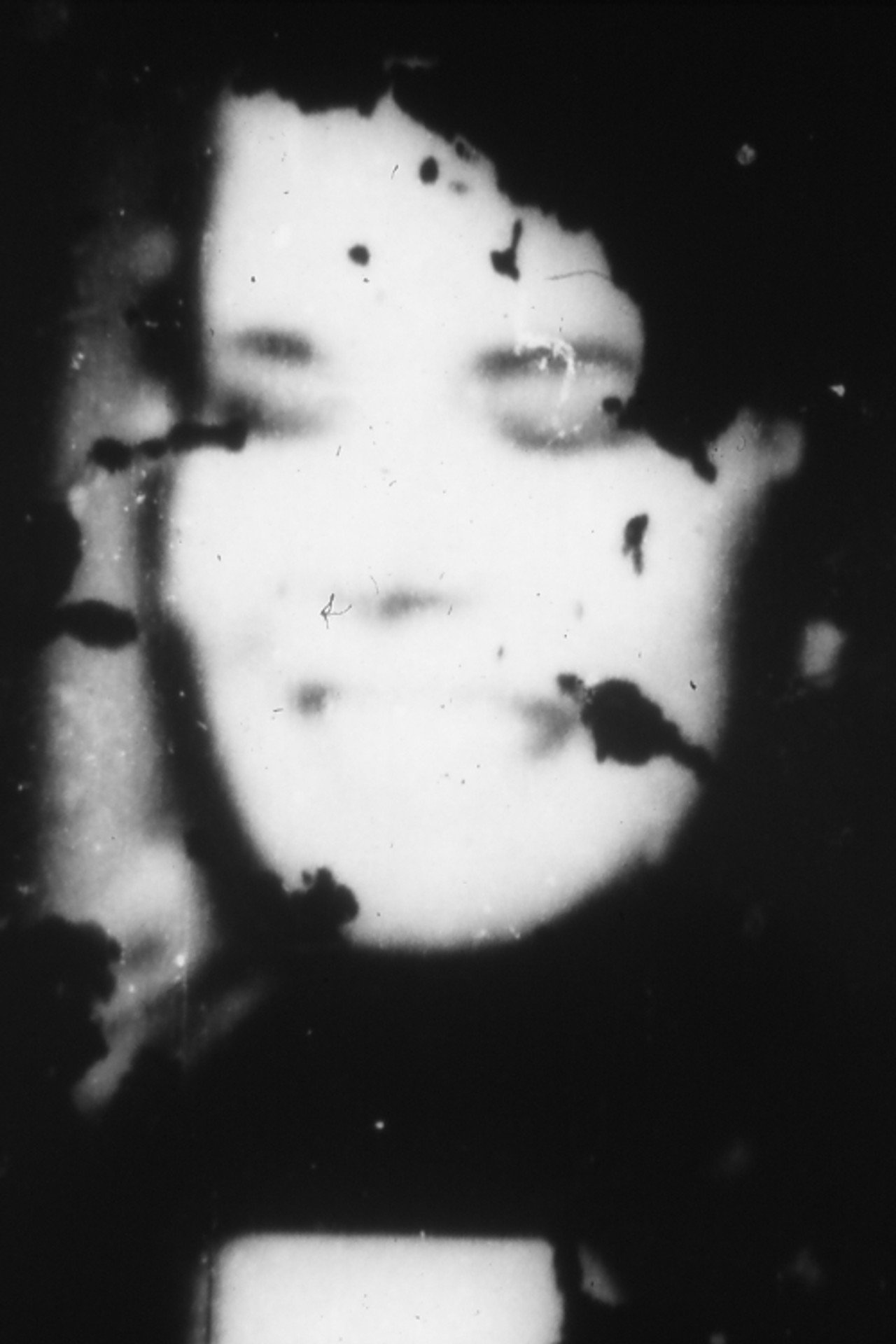 Oona's Veil Backdrop