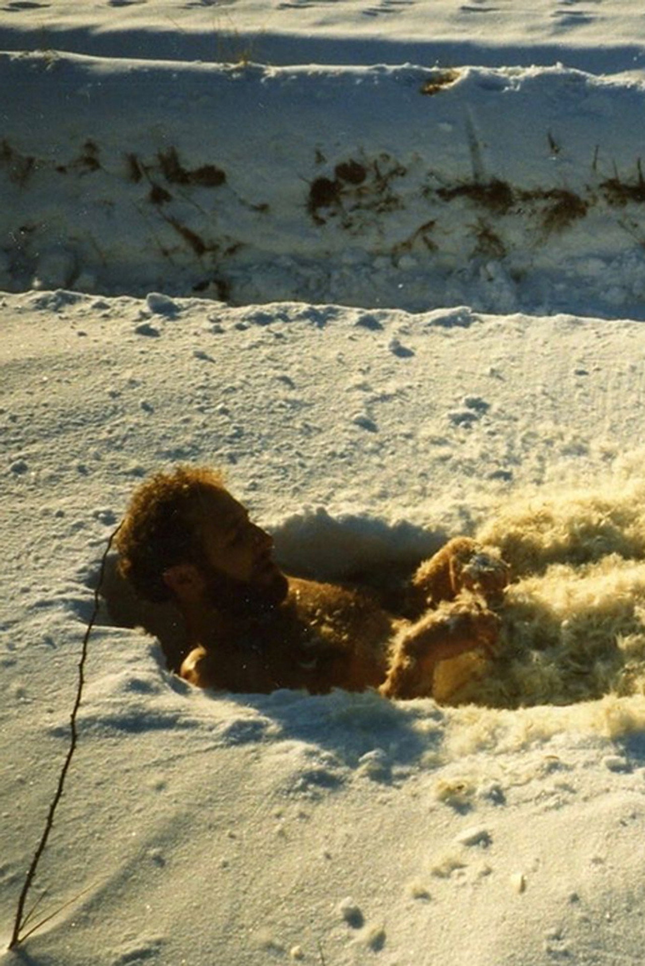 Aug in Aug – voll toten Lichts: Disteln für die Droste filmaffisch
