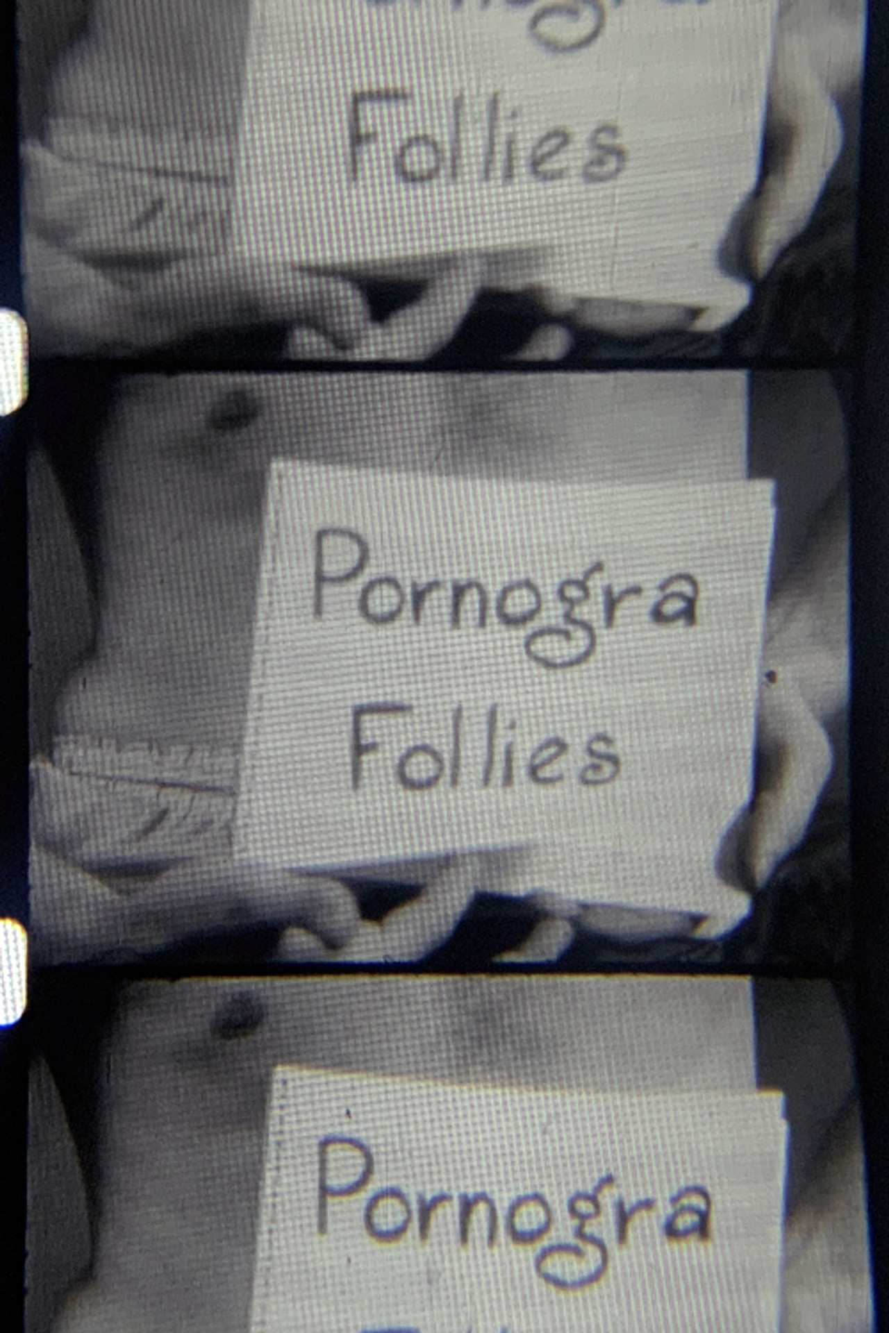 Pornogra Follies Backdrop
