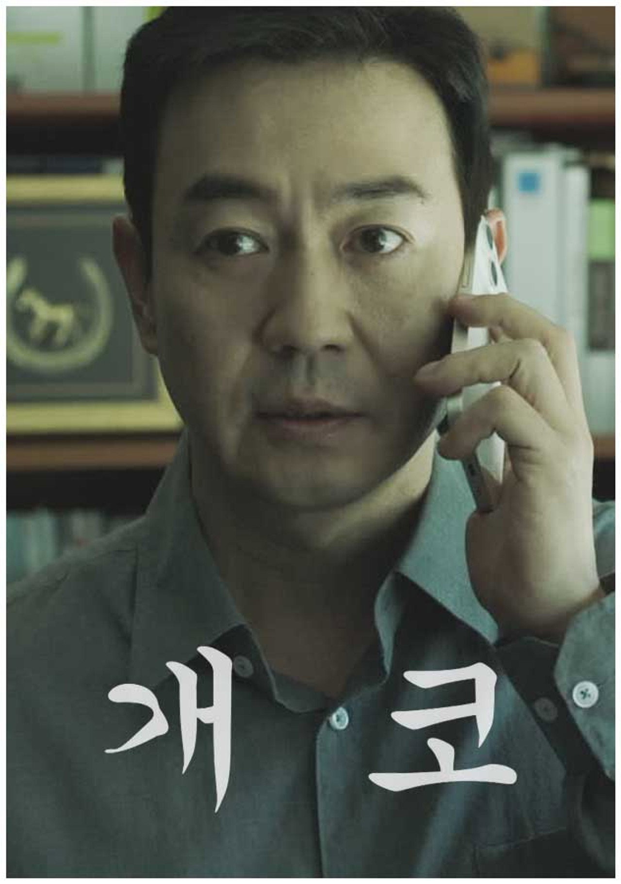 개코 filmaffisch