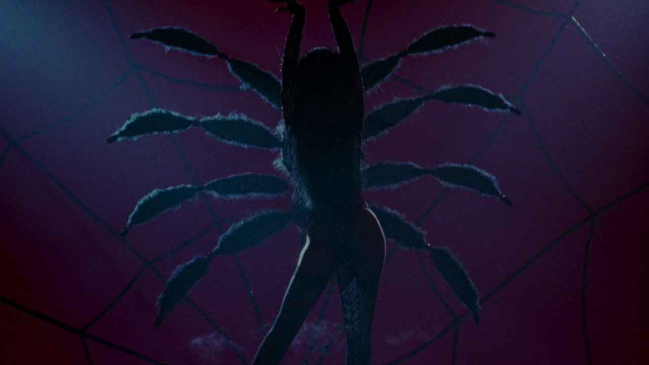 Elvira: Mistress of the Dark background 64