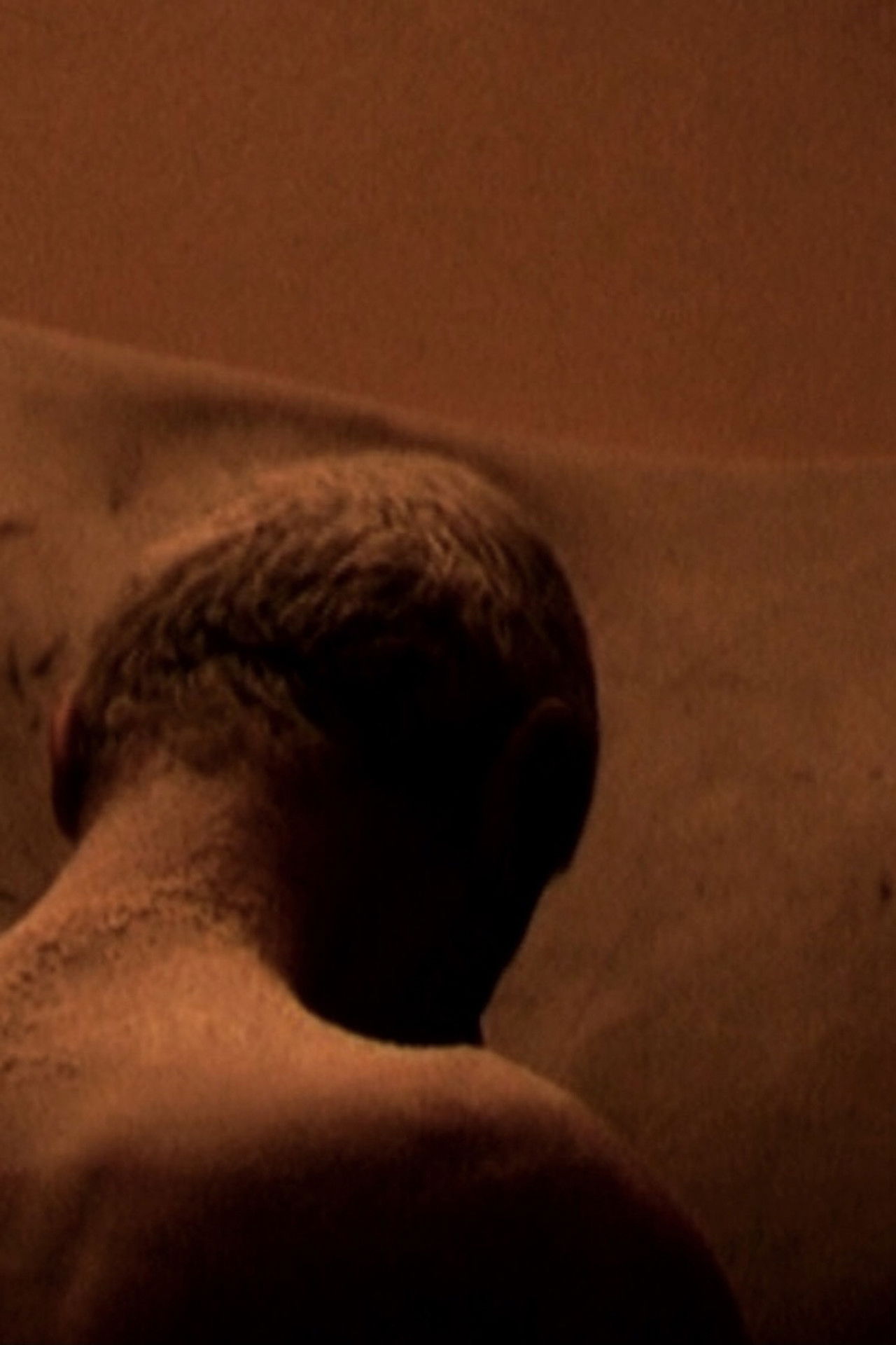 TRAGEDIA ENDOGONIDIA - C.#11 CESENA Backdrop