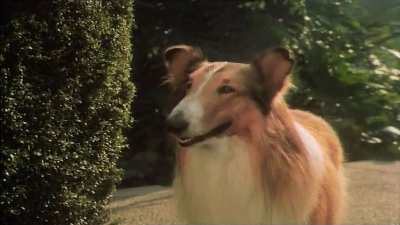 The Magic of Lassie (1978)