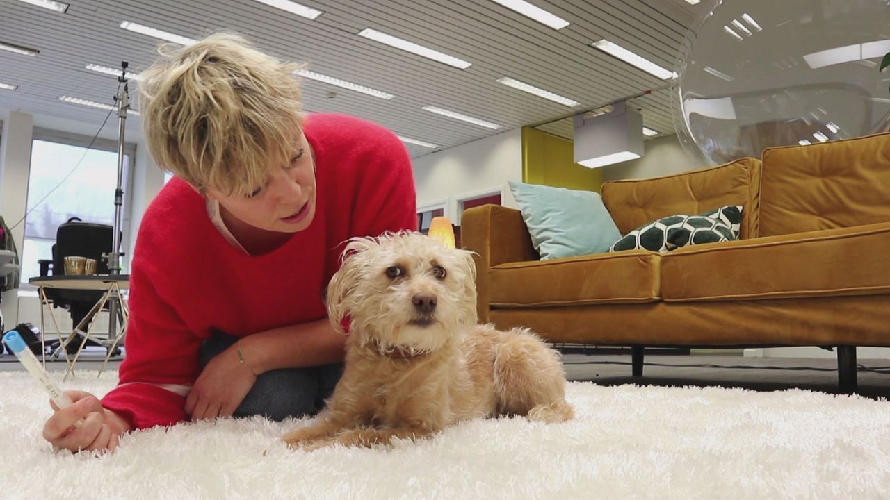 Factcheckers — Épisode 4