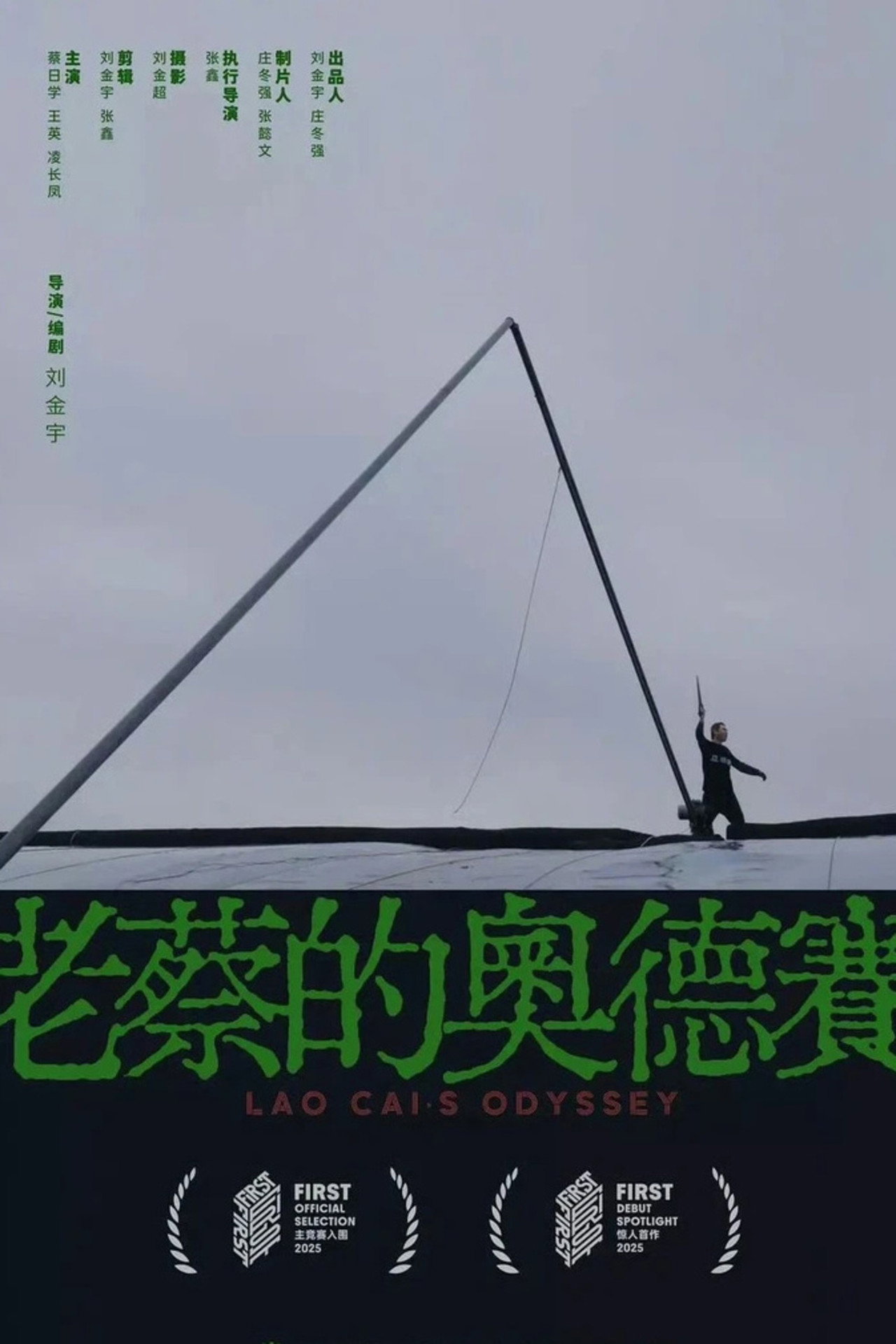 老蔡的奥德赛 封面海报