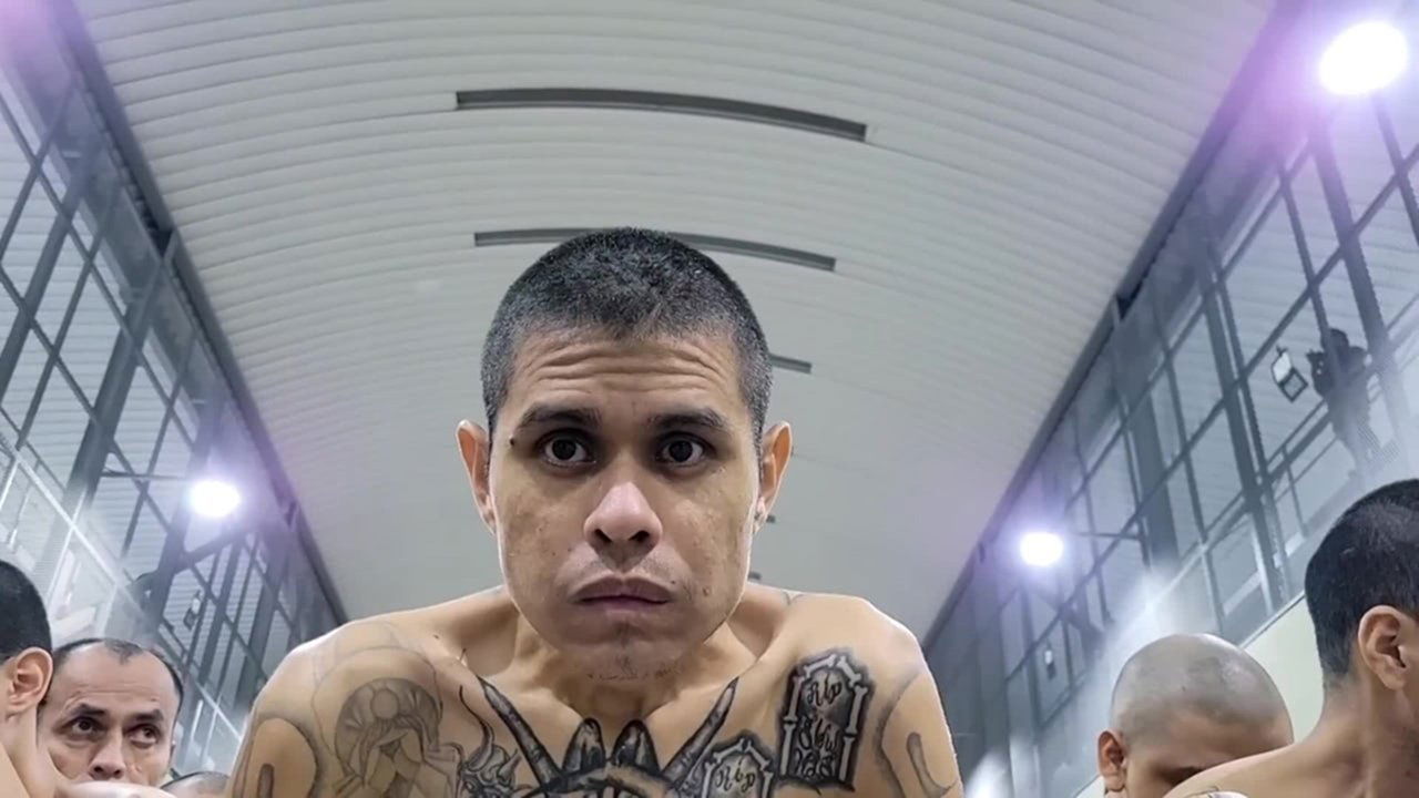 Ewout: Gevaarlijke Gevangenissen - Season 1 Episode 1 : Episode 1